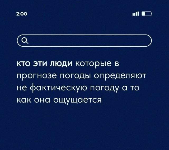 Вопросы дня: самые актуальные и забавные запросы людей в интернете