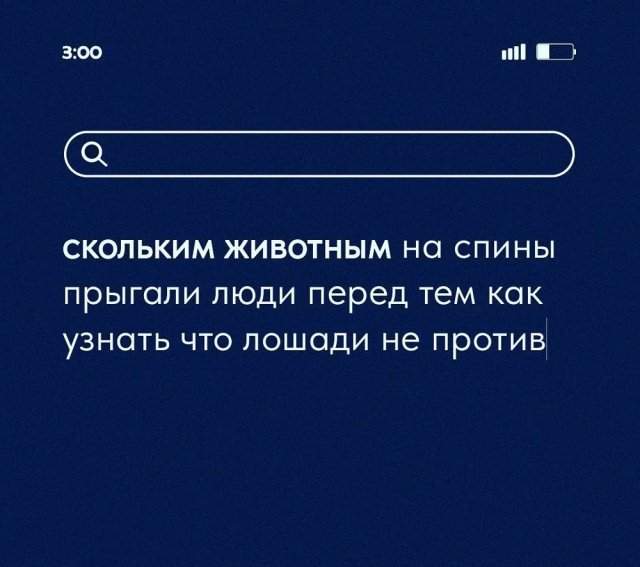 Вопросы дня: самые актуальные и забавные запросы людей в интернете