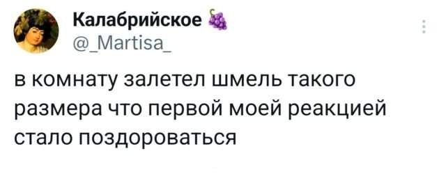 Подборка забавных твитов обо всем