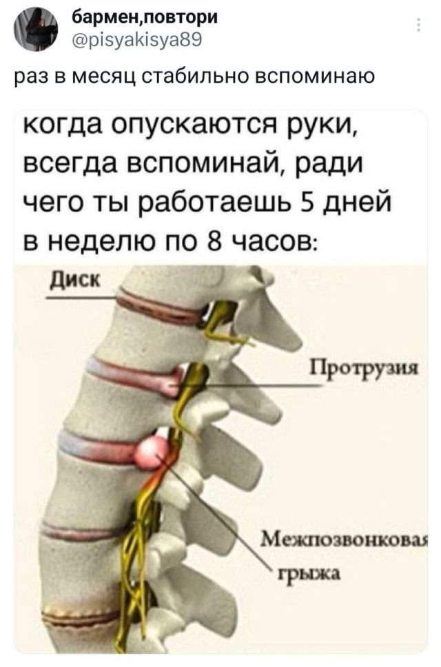 Подборка забавных твитов обо всем