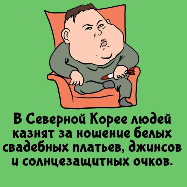 Интересные факты на все случаи жизни