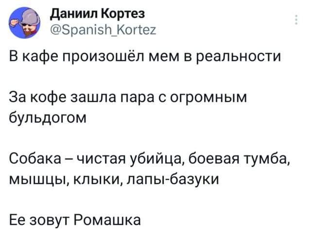 Подборка забавных твитов обо всем