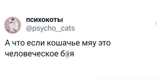 Подборка забавных твитов обо всем