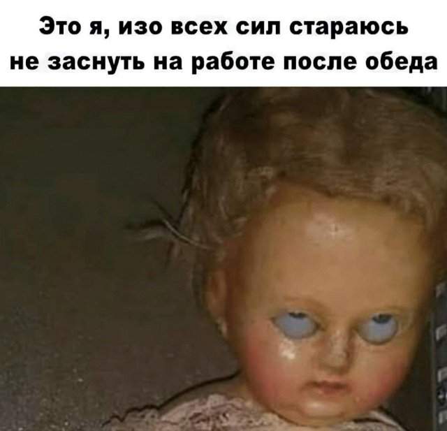 Смешные картинки - 11.11.2024 Смешные картинки - 11.11.2024