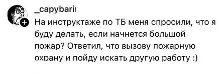 В соцсетях поделились историями о своих собеседованиях на работу