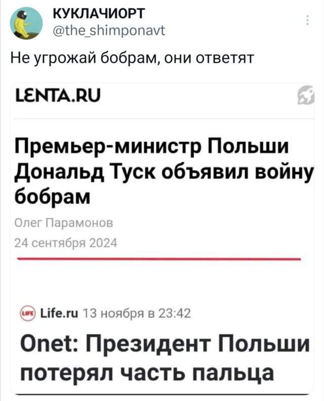 Подборка забавных твитов обо всем