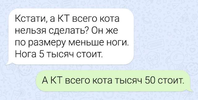 Подборка забавных переписок из домовых чатов