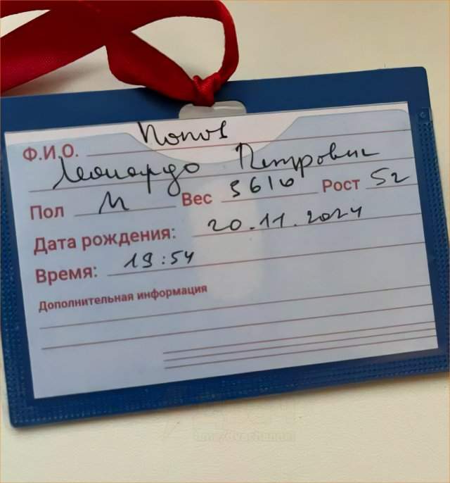 Отец из Санкт-Петербурга назвал своих сыновей в честь Черепашек-ниндзя