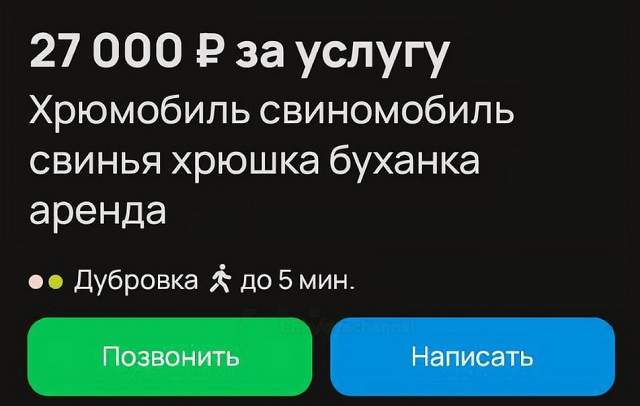 В Москве предлагают арендовать уникальный "свиномобиль"