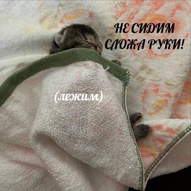 Смешные мемы - 23.12.2024