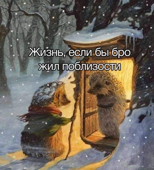 Смешные мемы - 23.12.2024