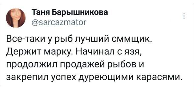 Подборка забавных твитов обо всем