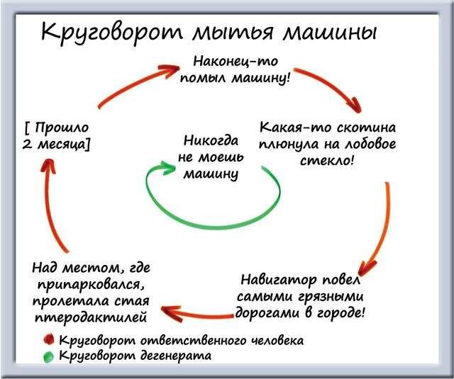 Забавные схемы от художника Мэтта Ширли