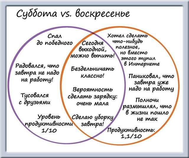 Забавные схемы от художника Мэтта Ширли