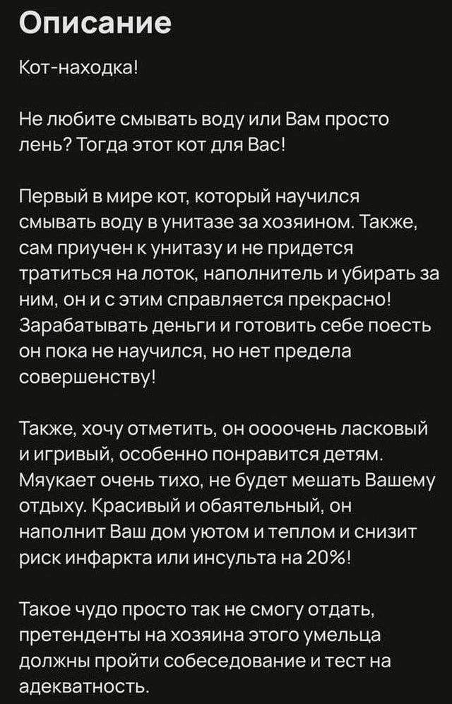 В Подмосковье продают удивительного кота за 200 миллионов рублей