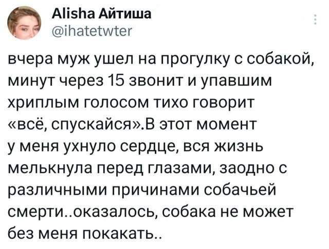 Подборка забавных твитов обо всем