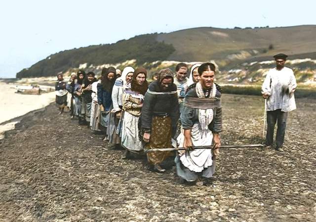 Женщины-бурлачки тянут баржу на реке Суре, 1910 год.