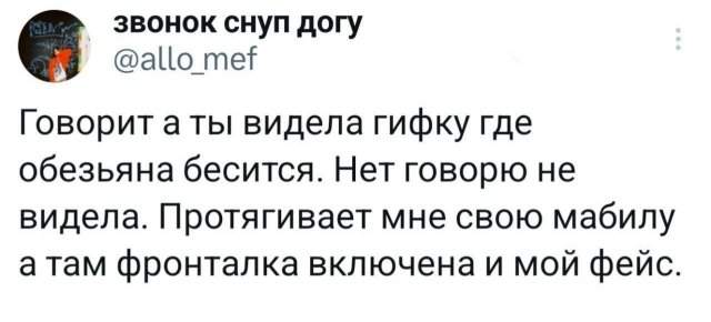 Подборка забавных твитов обо всем