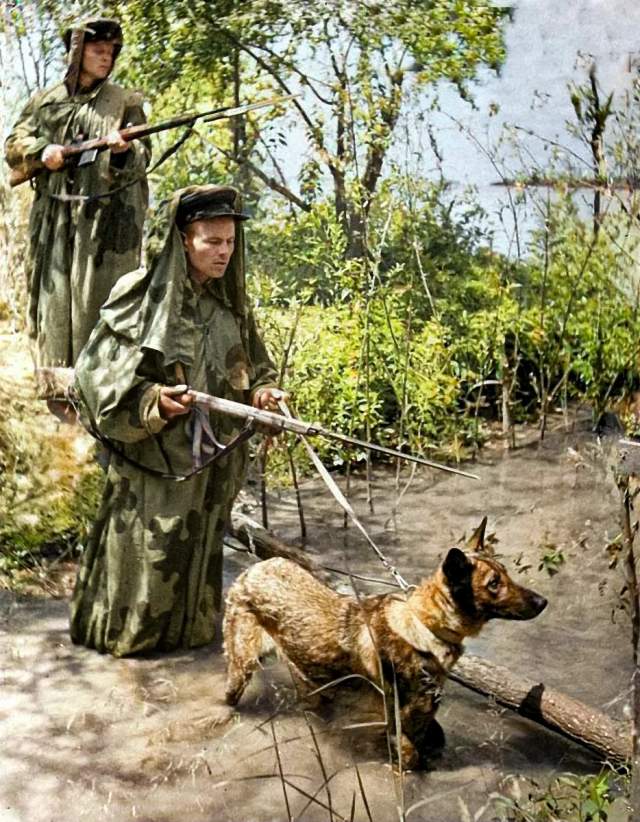 Советские пограничники в дозоре на берегу Дуная.