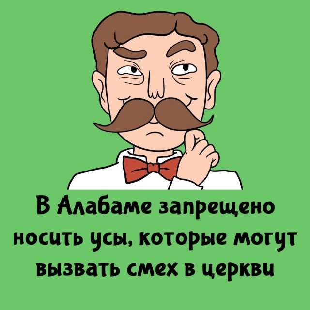 Интересные факты на все случаи жизни