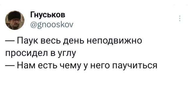 Подборка забавных твитов обо всем