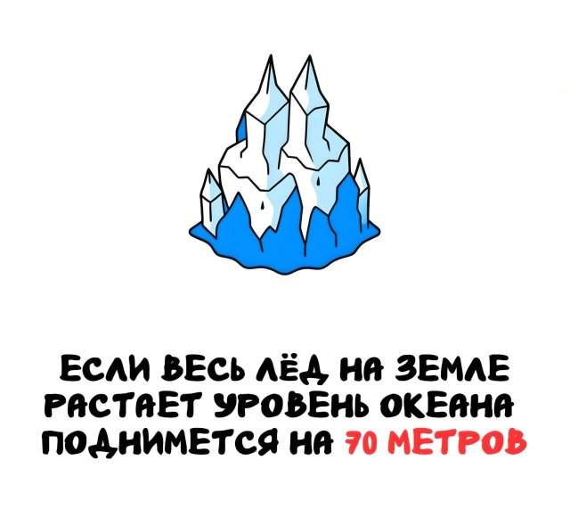 Интересные факты на все случаи жизни Интересные факты на все случаи жизни