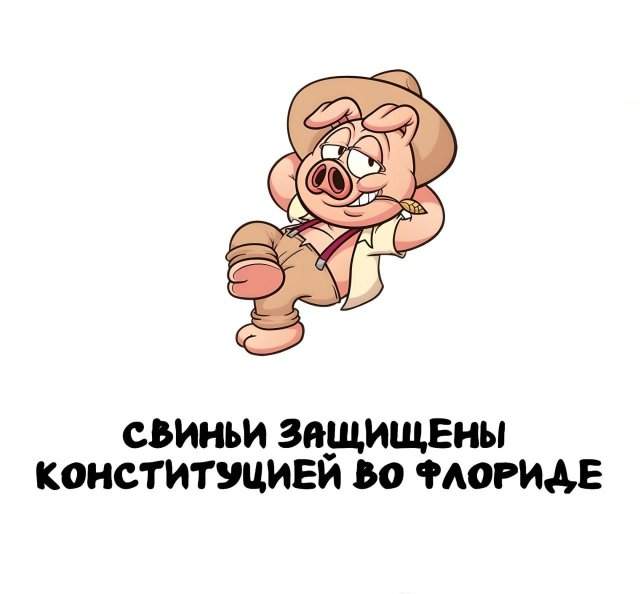 Интересные факты на все случаи жизни Интересные факты на все случаи жизни