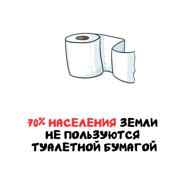 Интересные факты на все случаи жизни Интересные факты на все случаи жизни