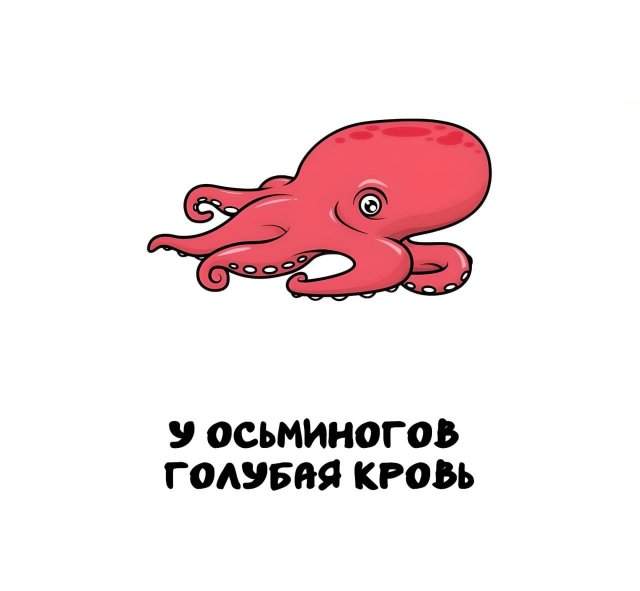 Интересные факты на все случаи жизни Интересные факты на все случаи жизни
