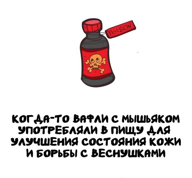 Интересные факты на все случаи жизни