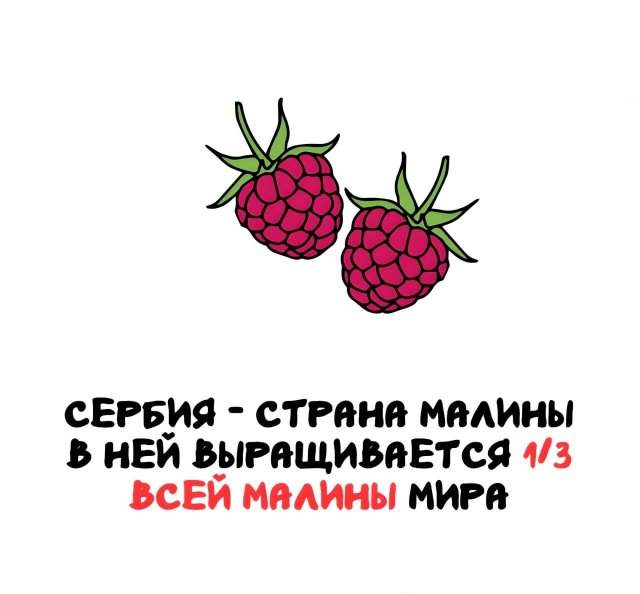 Интересные факты на все случаи жизни