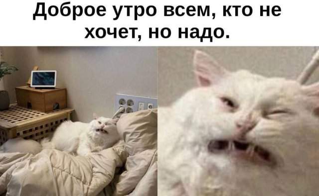 Смешные картинки - 03.04.2025 Смешные картинки - 03.04.2025