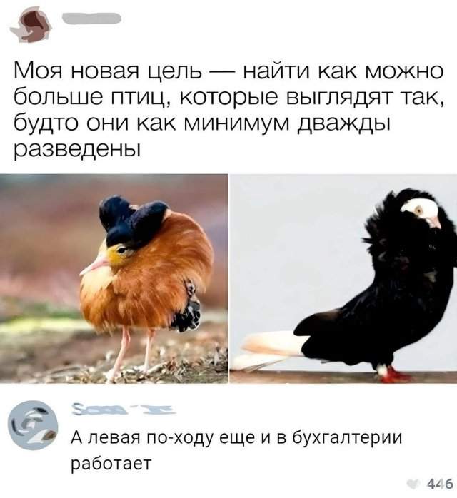Смешные картинки - 03.04.2025 Смешные картинки - 03.04.2025