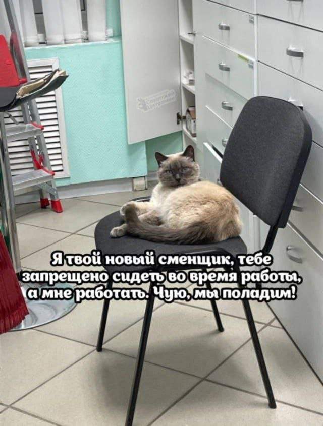 Смешные мемы - 03.04.2025 Смешные мемы - 03.04.2025