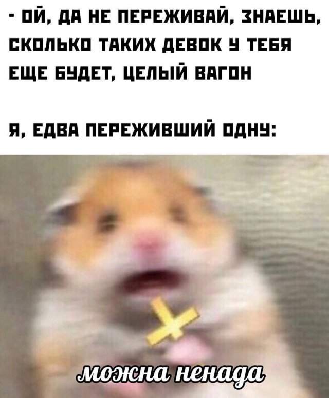Смешные мемы - 04.04.2025 Смешные мемы - 04.04.2025