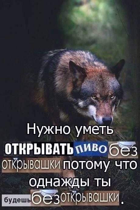 Смешные мемы - 04.04.2025 Смешные мемы - 04.04.2025