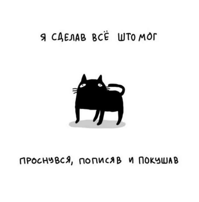 Смешные картинки - 04.04.2025 Смешные картинки - 04.04.2025