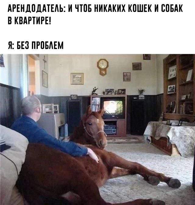 Смешные картинки - 04.04.2025 Смешные картинки - 04.04.2025