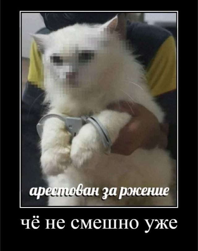 Демотиваторы - 04.04.2025 Демотиваторы - 04.04.2025