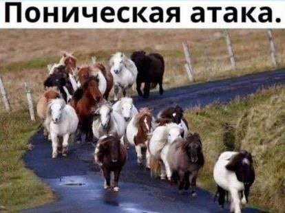 Смешные картинки - 09.04.2025 Смешные картинки - 09.04.2025
