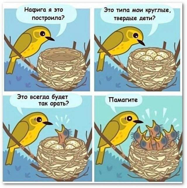 Смешные мемы - 09.04.2025 Смешные мемы - 09.04.2025