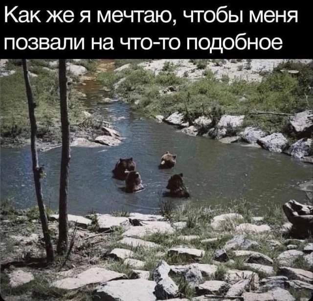 Смешные мемы - 09.04.2025 Смешные мемы - 09.04.2025