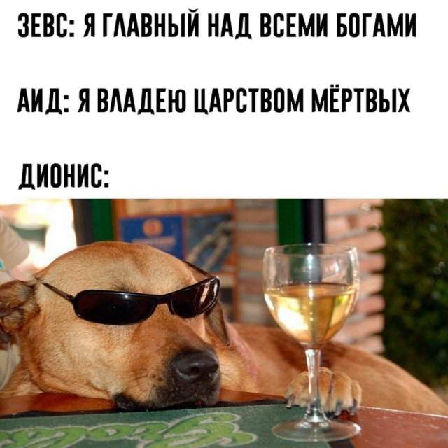 Смешные мемы - 09.04.2025 Смешные мемы - 09.04.2025