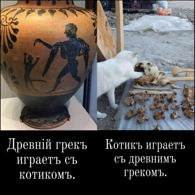 Смешные мемы - 09.04.2025 Смешные мемы - 09.04.2025