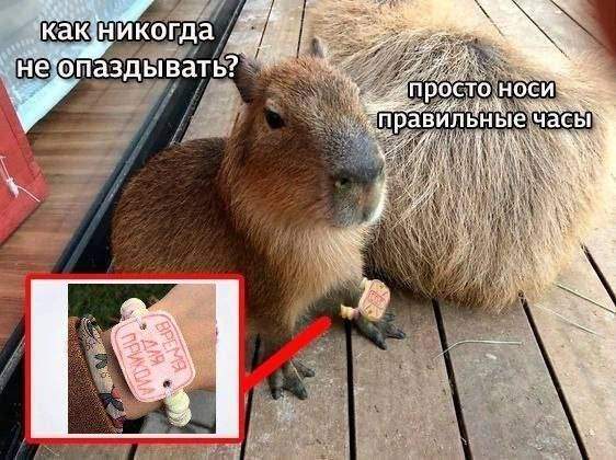 Смешные мемы - 09.04.2025 Смешные мемы - 09.04.2025