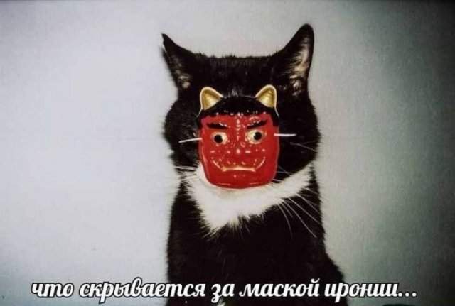Смешные мемы - 09.04.2025 Смешные мемы - 09.04.2025