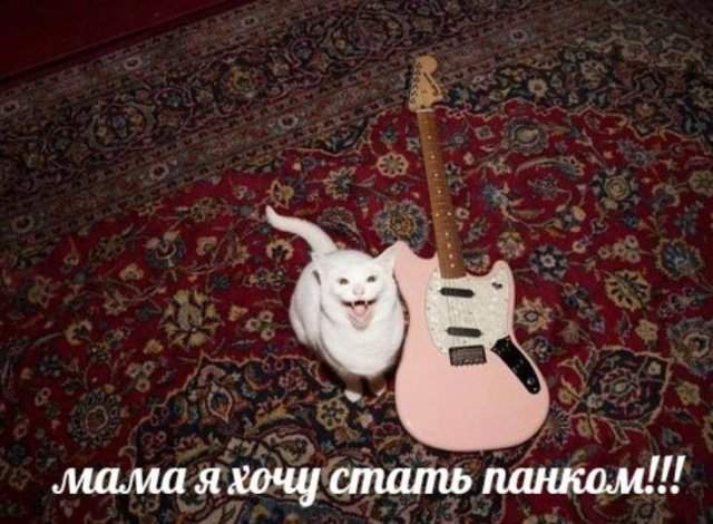 Смешные мемы - 09.04.2025 Смешные мемы - 09.04.2025