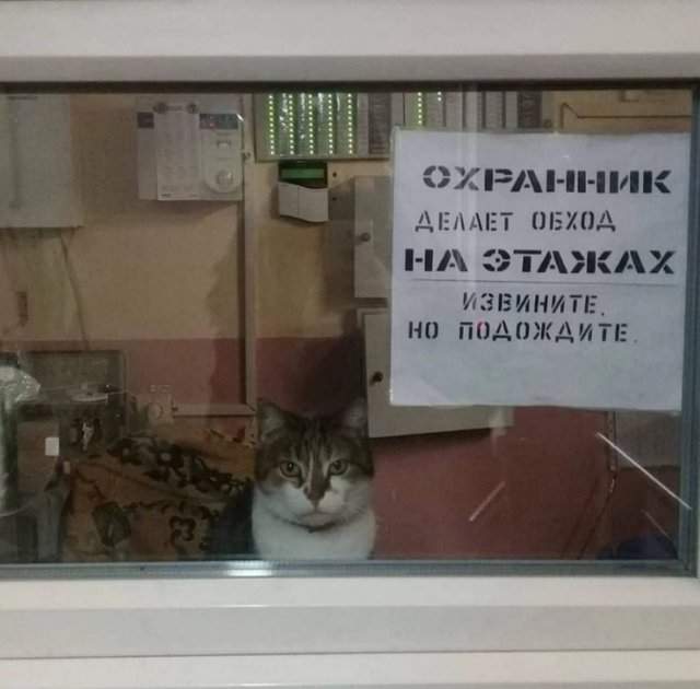 Смешные мемы - 09.04.2025 Смешные мемы - 09.04.2025