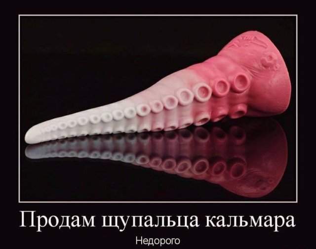 Демотиваторы - 10.04.2025 Демотиваторы - 10.04.2025