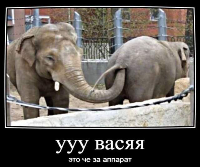 Демотиваторы - 11.04.2025 Демотиваторы - 11.04.2025